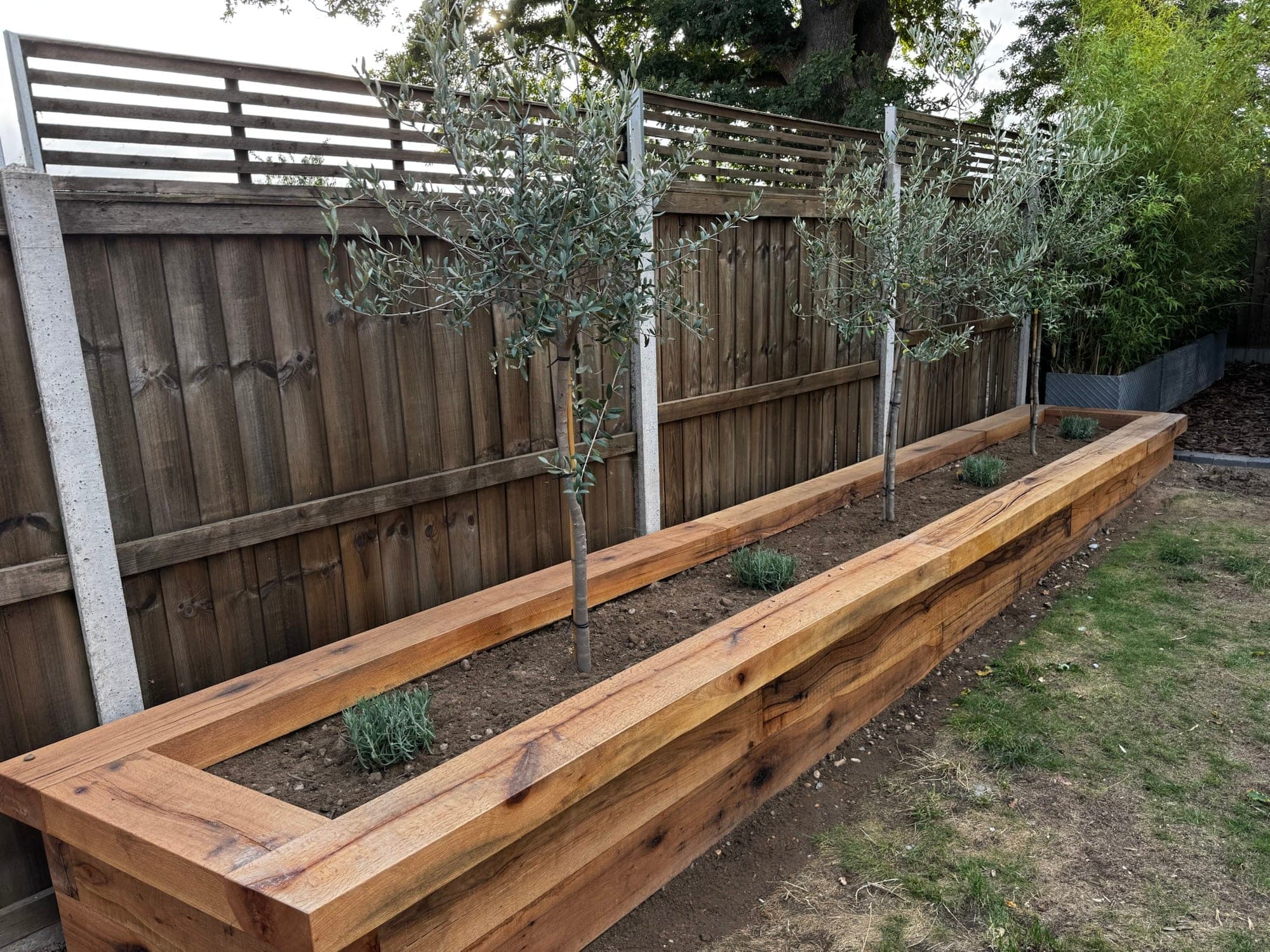 Black pergola garden design Norfolk