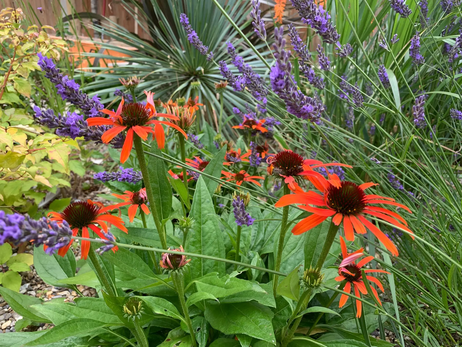 Tropical-style planting and foliage
