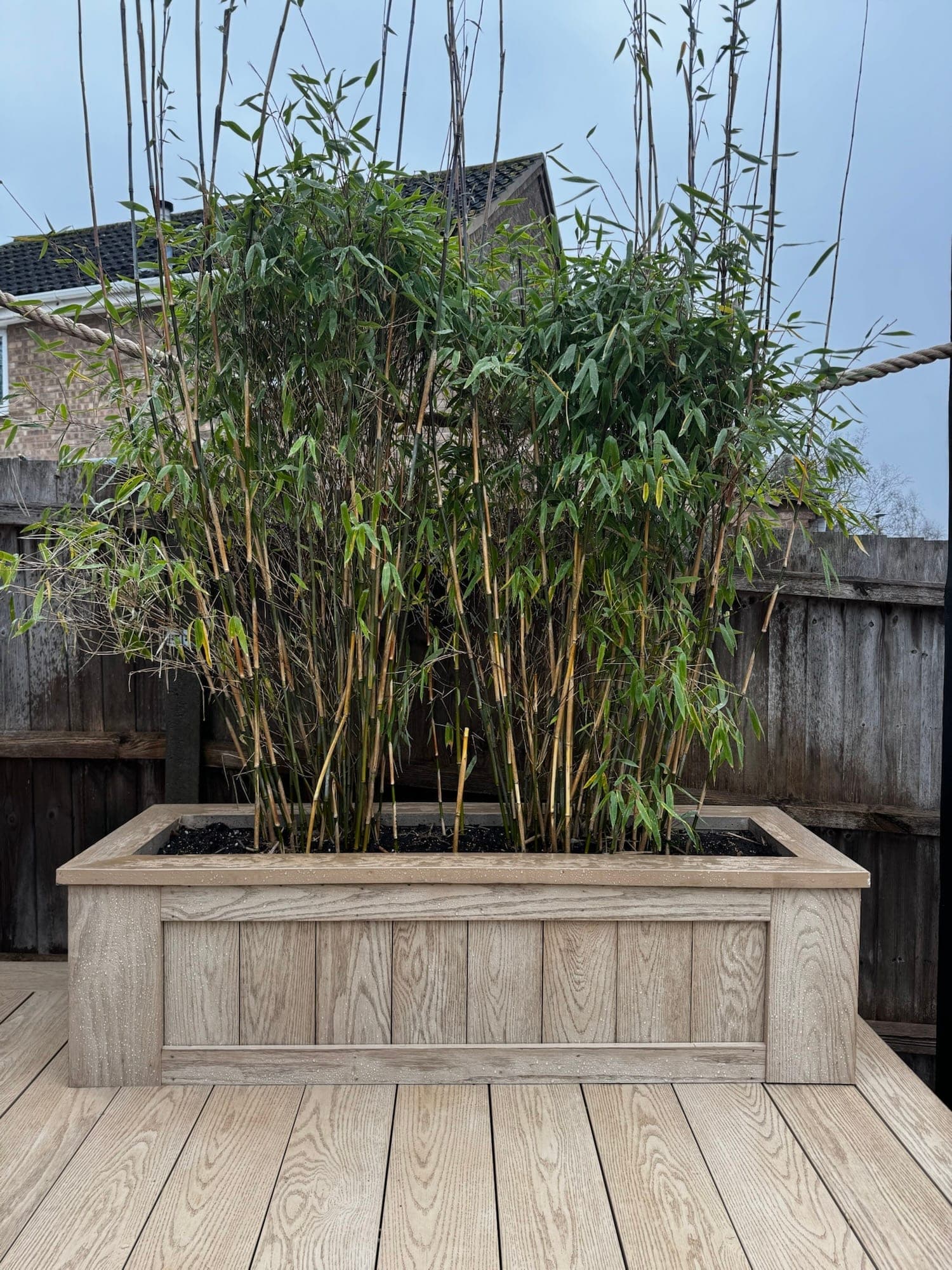 Raised Millboard deck and London Stone Mint Porcelain patio, Bowthorpe Norwich